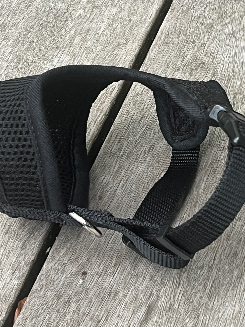 Adjustable Black Padded Dog Harness - Breathable Mesh Comfort